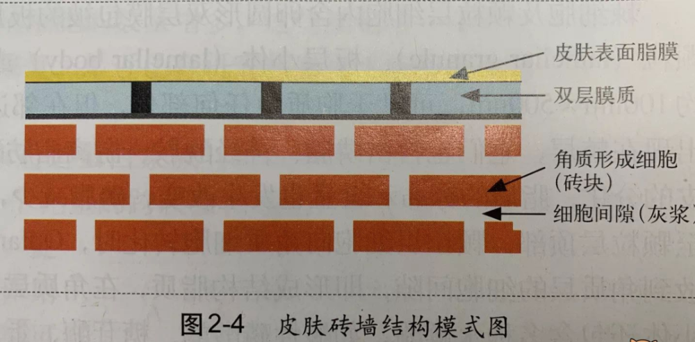 沈梦辰|沈梦辰的“洗白之路”彻底扑街了，浪姐关系户还敢耍大牌？