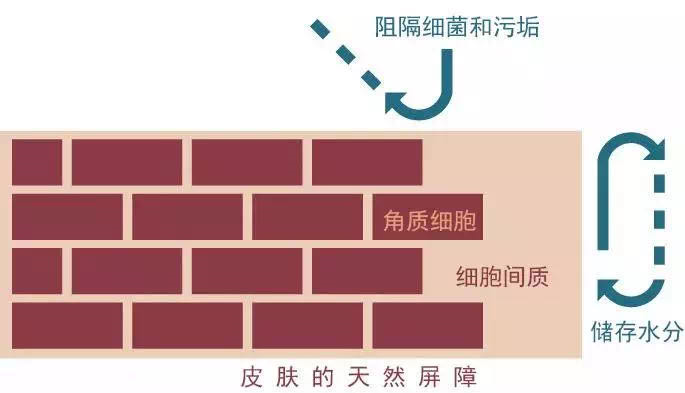 沈梦辰|沈梦辰的“洗白之路”彻底扑街了，浪姐关系户还敢耍大牌？