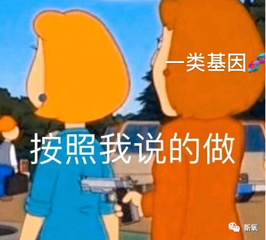 杨子|如果给杨子身边的黄圣依们玩连连看，可能会瞎！