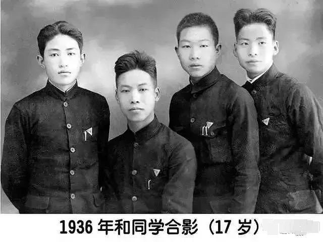 杨子|如果给杨子身边的黄圣依们玩连连看，可能会瞎！