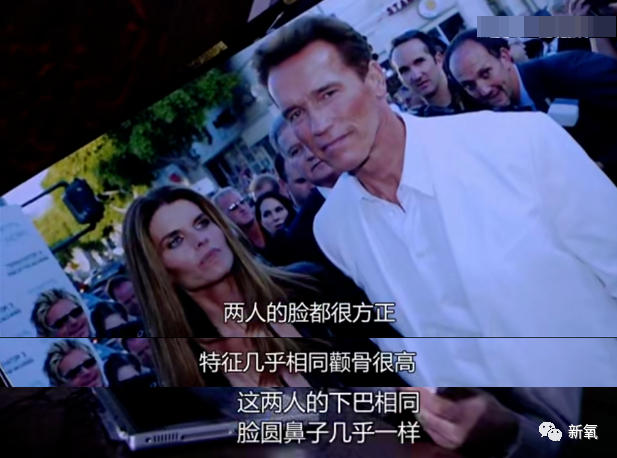 杨子|如果给杨子身边的黄圣依们玩连连看，可能会瞎！