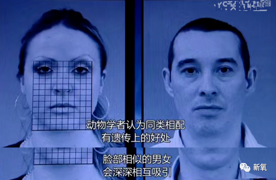 杨子|如果给杨子身边的黄圣依们玩连连看，可能会瞎！
