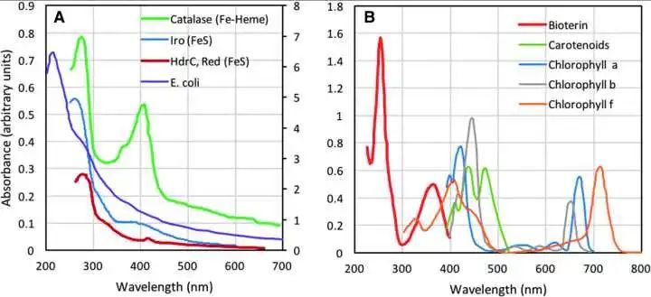 金星_天文行星|金星发现生命？让子弹先飞一会儿