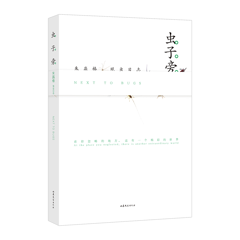 虫子|在虫子身旁，寻找慢生活的野生浪漫