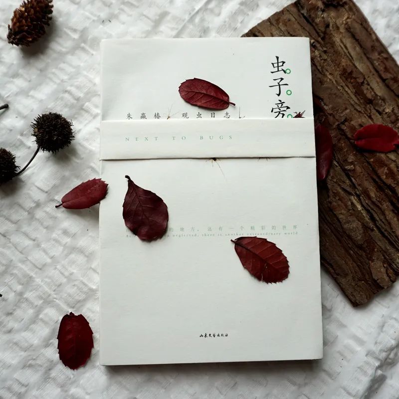 虫子|在虫子身旁，寻找慢生活的野生浪漫