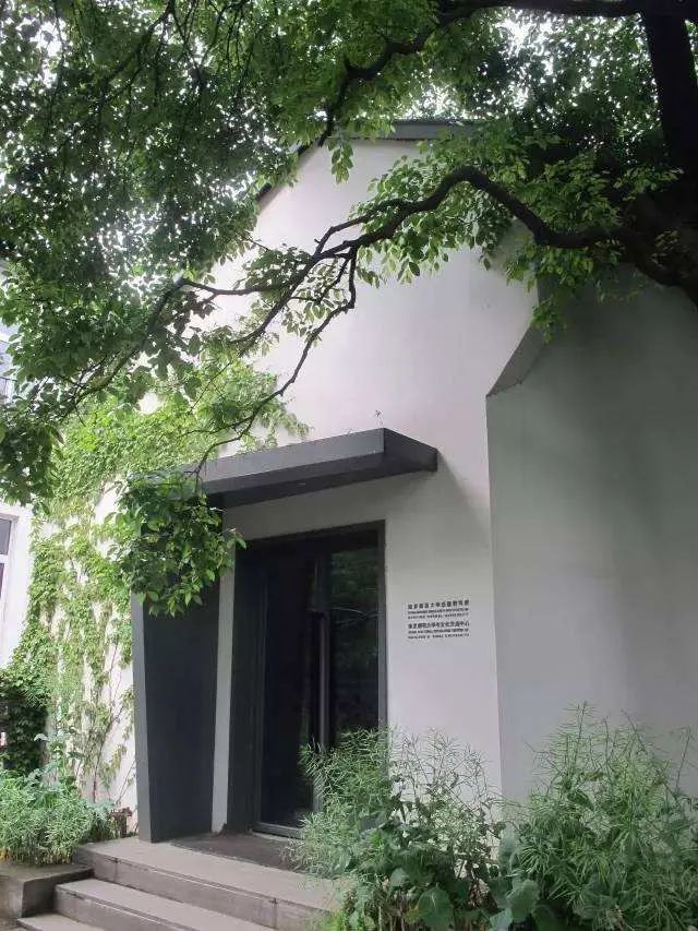 虫子|在虫子身旁，寻找慢生活的野生浪漫