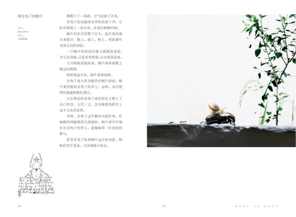 虫子|在虫子身旁，寻找慢生活的野生浪漫