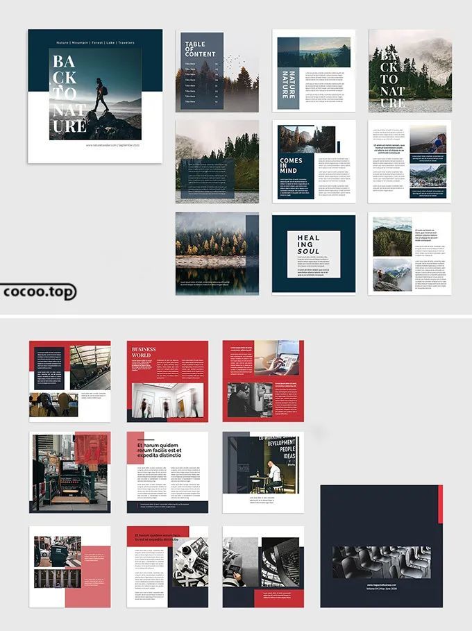 版式|想做好版式设计？先了解版式要点