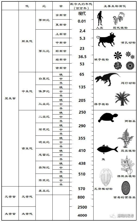 新生代哺乳动物崛起