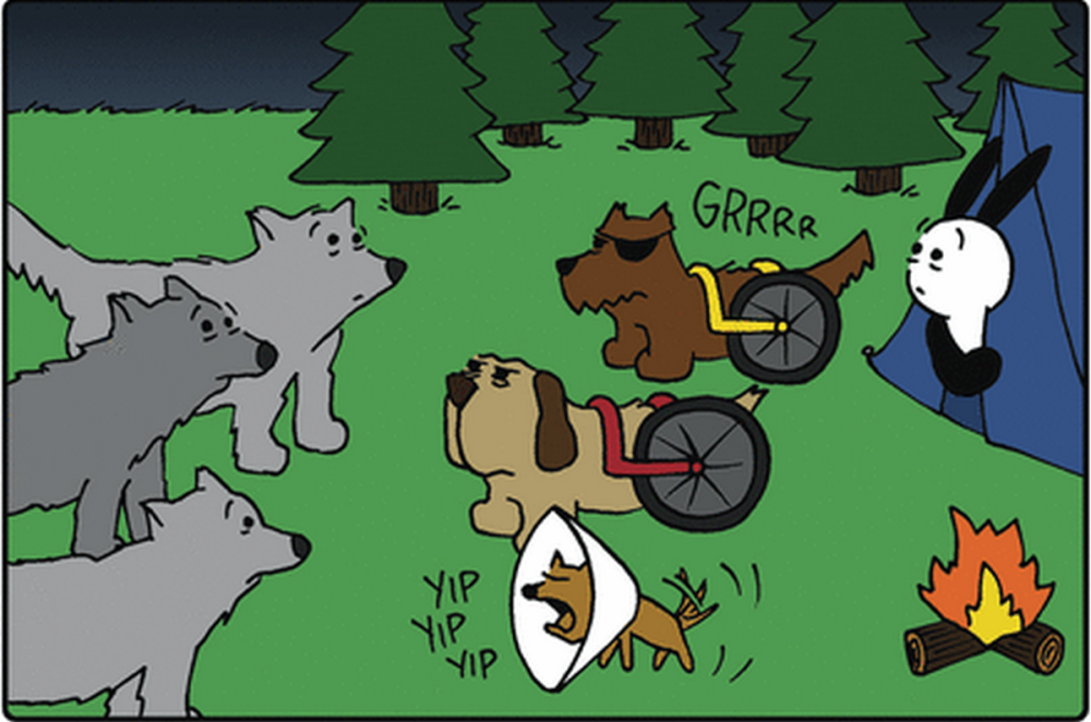奇趣漫画:兔子露营时被狼群包围,轮椅狗狗嚎叫呼唤好兄弟