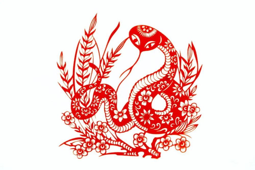 为什么说蛇遇鸡定大吉男鸡女蛇真的是上等婚吗