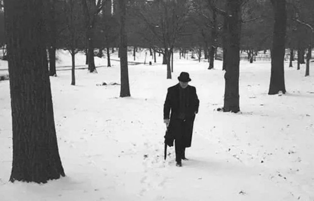 木心|木心算得上“大师”吗？如何评价木心依旧是文艺界的悬案