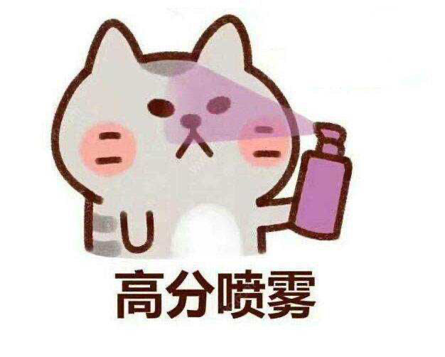 如何识别公文类型