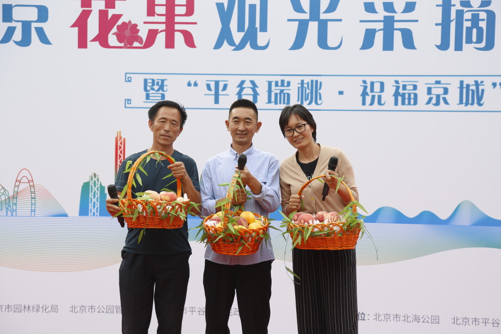 平谷区|“平谷瑞桃·祝福京城”开启北京花果观光采摘季