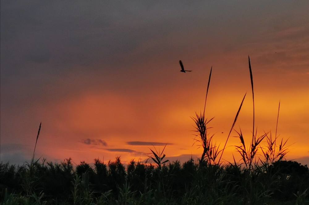 钟南山|钟南山荣获勋章，女儿却被骂上热搜：“偏见”可以有多可怕？