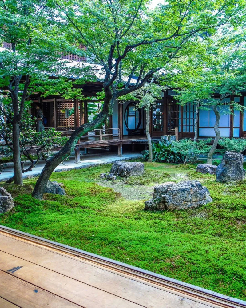 4点打造网红日式庭院5㎡小院也能做