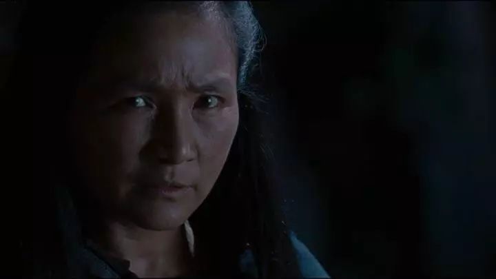 另外一个女儿原丽淇,参演了电影《卧虎藏龙2》 ,饰演碧眼狐狸的女儿