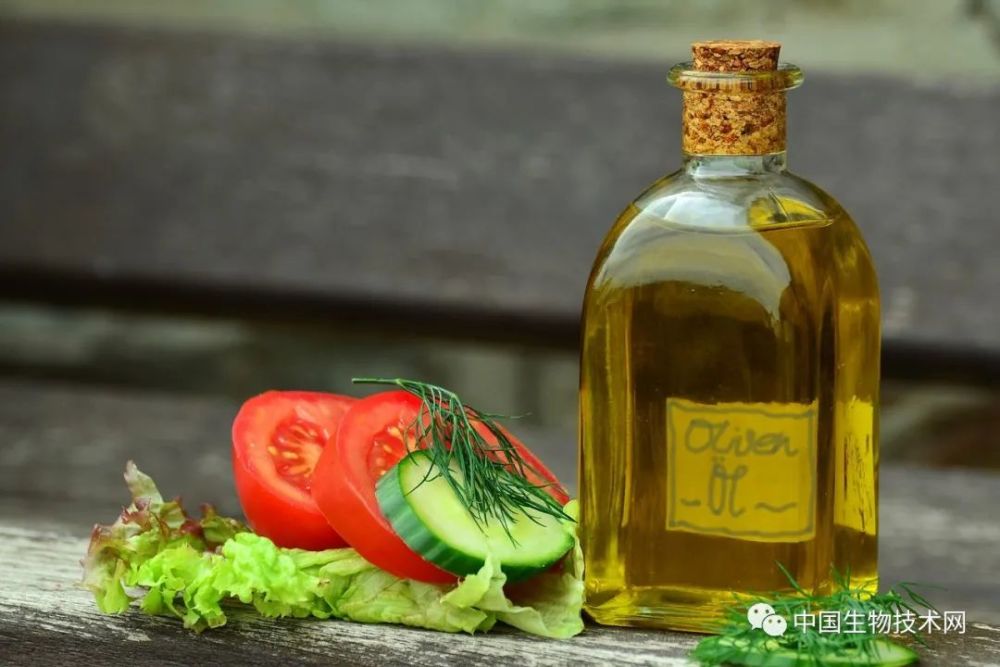 地中海饮食|JACC：地中海饮食和间歇性禁食，有益心血管健康