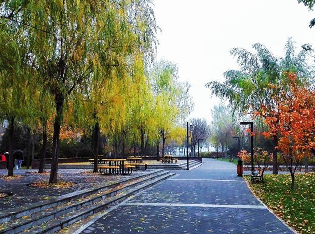 毕业|我国毕业生薪资“最高”的3所大学，2所位于北京市，但并非北大