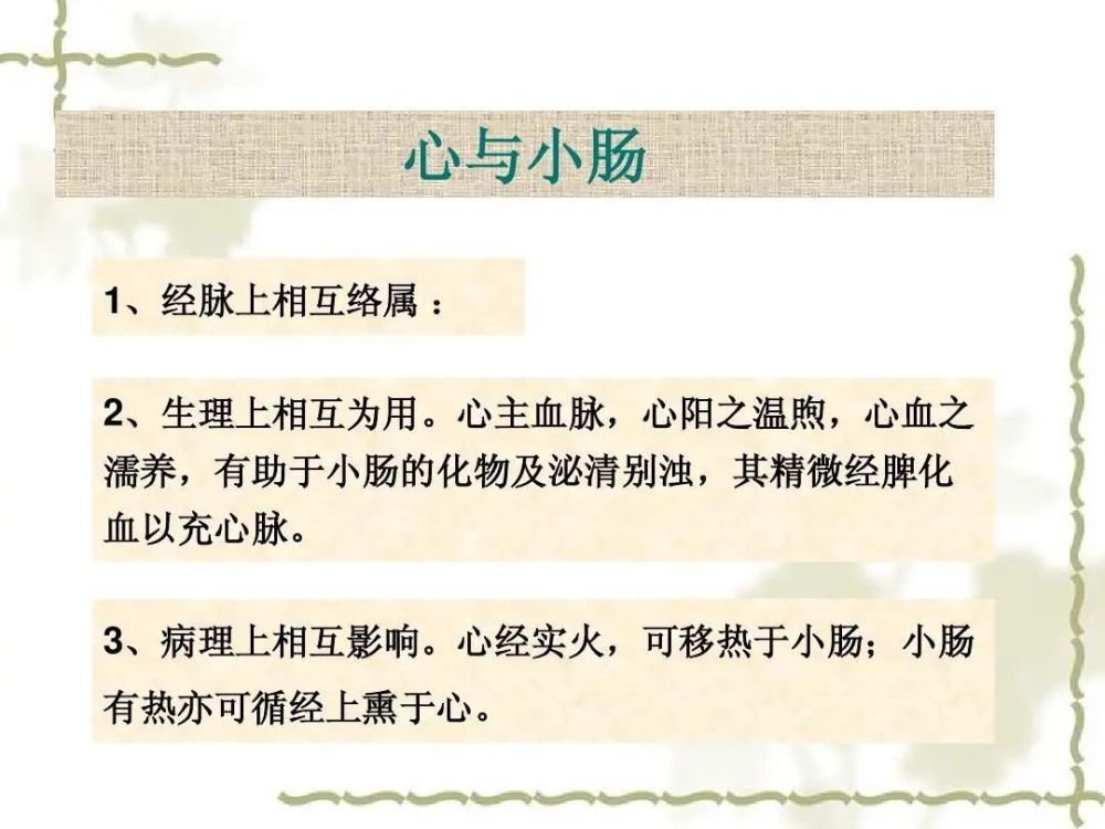 中医小儿推拿每日一课小儿推拿中医理论脏腑学五脏之间与脏腑的关系