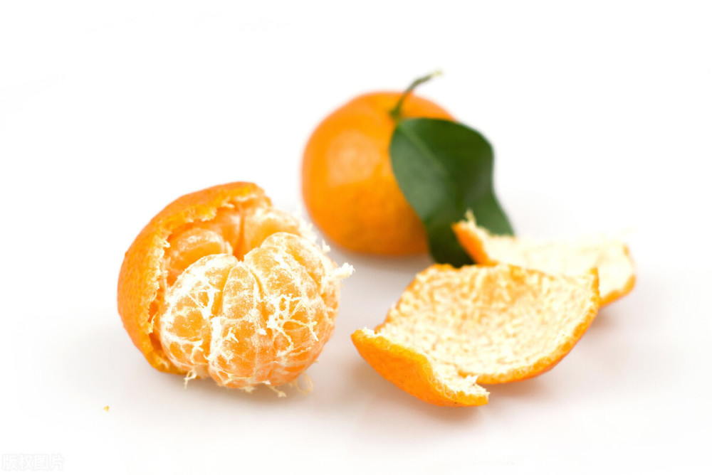 施肥|家里养花施肥太难闻？快来试试这七种方法，不知道一定要来看看