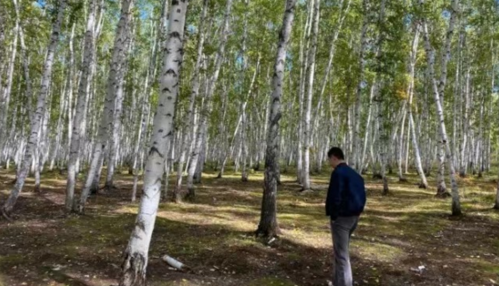 李亚鹏|李亚鹏女友与神秘男子一起出游，两人互相点赞引热议