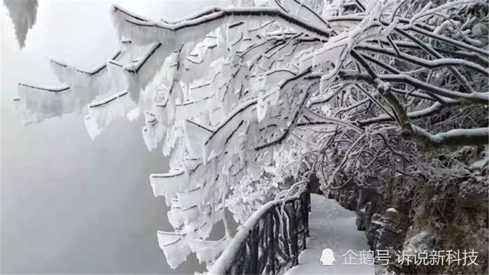 拉尼娜|拉尼娜已出现，科学家猜测或持续到2021年，我国会出现特大雪灾？