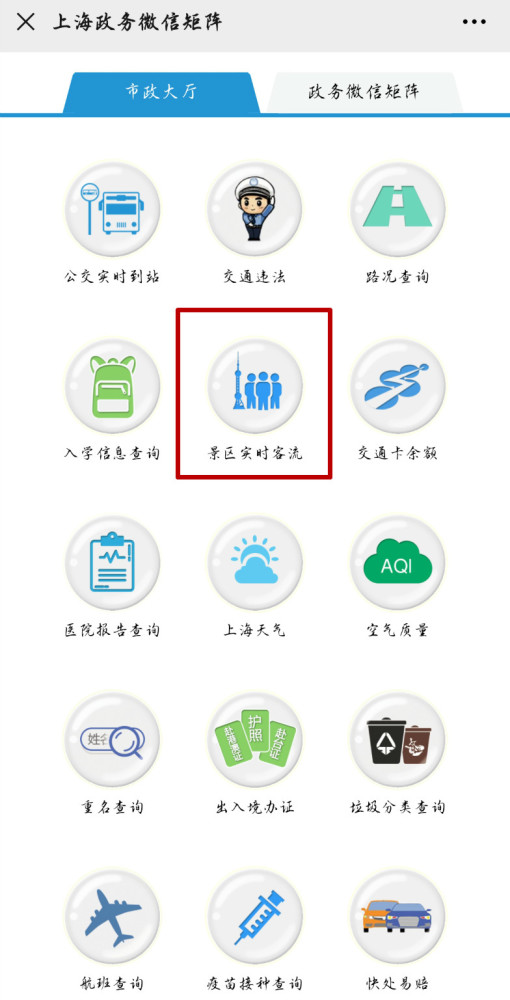 周末大客流就挤爆上海野生动物园接下来的国庆长假可咋整