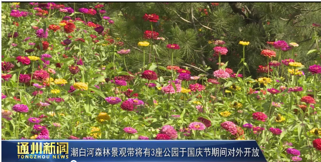 公园|总面积3.1万亩！通州3座公园国庆节对外开放！可辐射北三县！