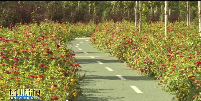 公园|总面积3.1万亩！通州3座公园国庆节对外开放！可辐射北三县！