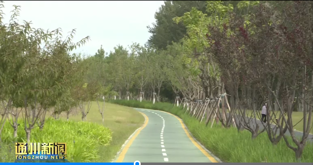 公园|总面积3.1万亩！通州3座公园国庆节对外开放！可辐射北三县！