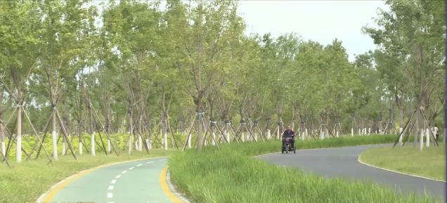 公园|总面积3.1万亩！通州3座公园国庆节对外开放！可辐射北三县！