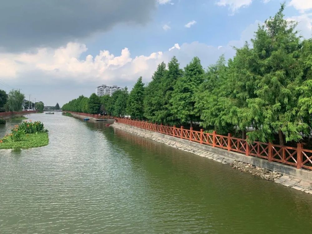 青浦香花桥这几个河道护岸实现华丽转身,一起来欣赏它们的美貌吧