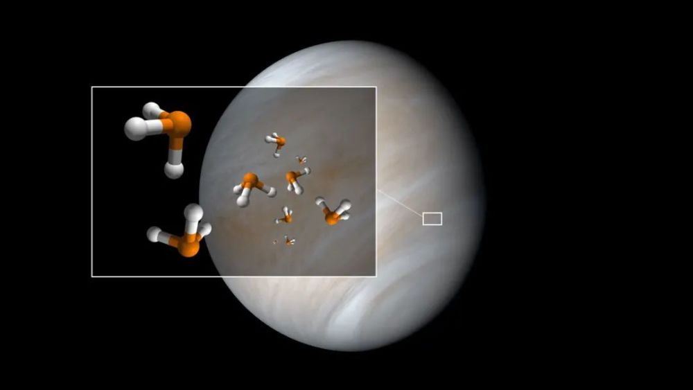地外生命|寻找外星生命的重大发现，这一次来自金星，不是火星