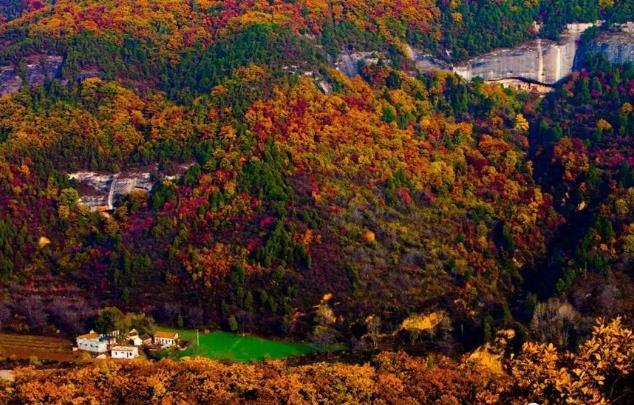 卻極盡所能地吟唱著秋之多情 燦爛純粹 黎坪紅葉vs照金香山紅葉 如同