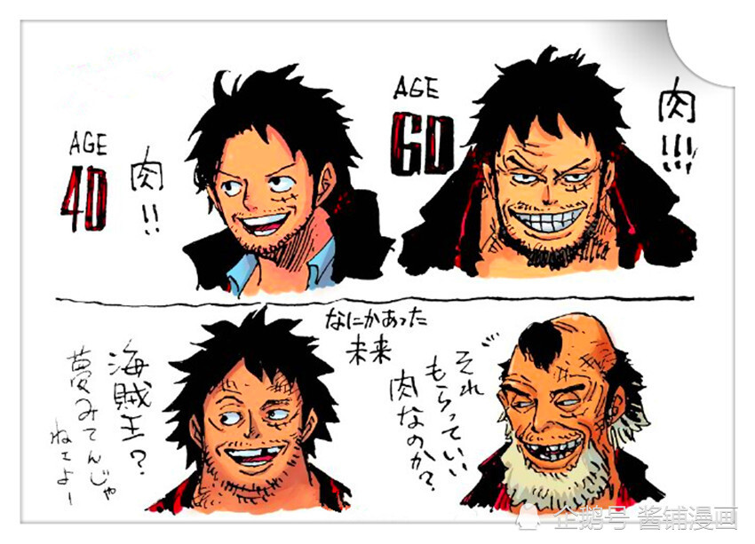 海贼王97卷sbs,尾田展示草帽团颓废容貌系列,乔巴成为暴躁老哥