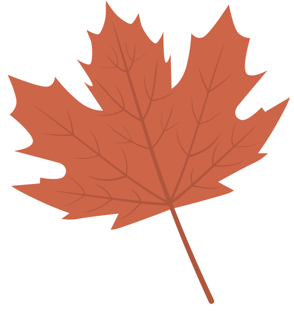 米饭|一碗米饭 百年故事