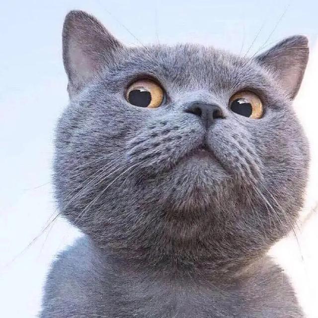 肖战最打脸物料曝出强势戳破谣言纸老虎一切云开雾散