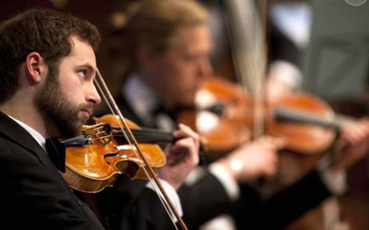 小提琴|你知道为什么小提琴是乐器中的“皇后”吗？