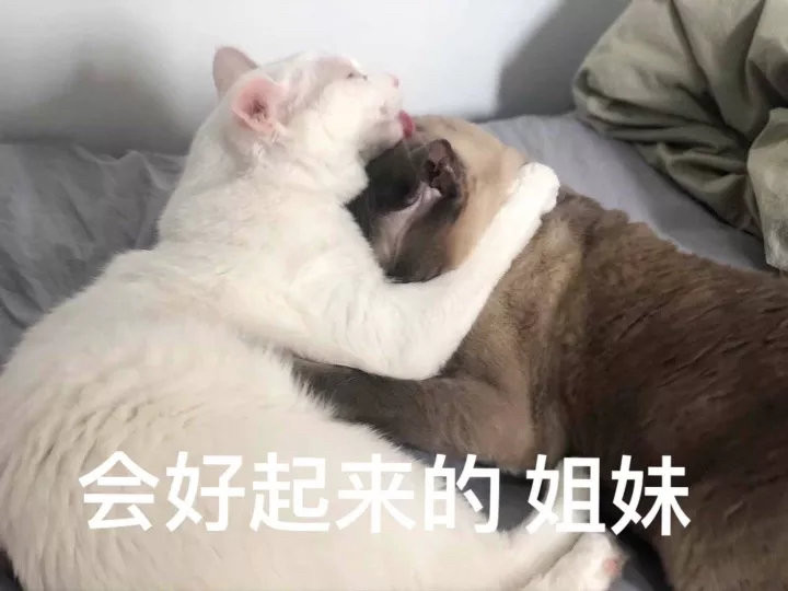 安慰人的表情包_腾讯新闻