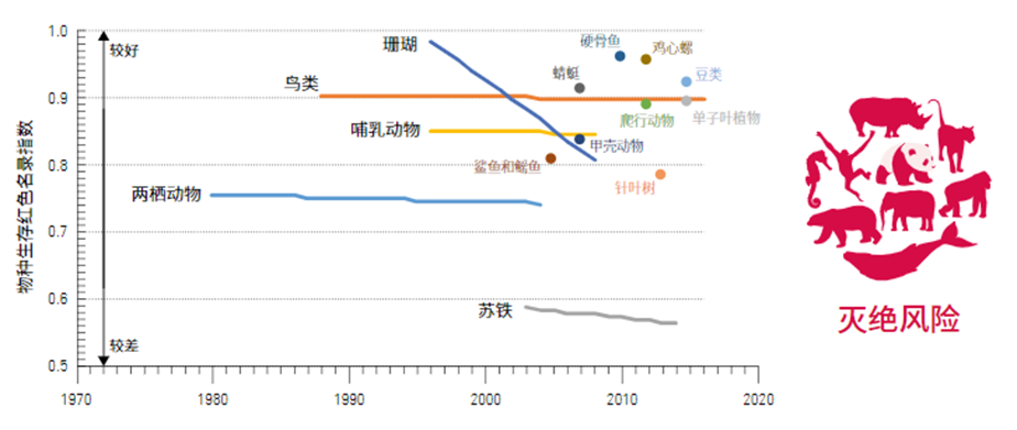 在人类活动中艰难生存的物种.两栖动物生存堪忧,珊瑚的衰退异常刺目.