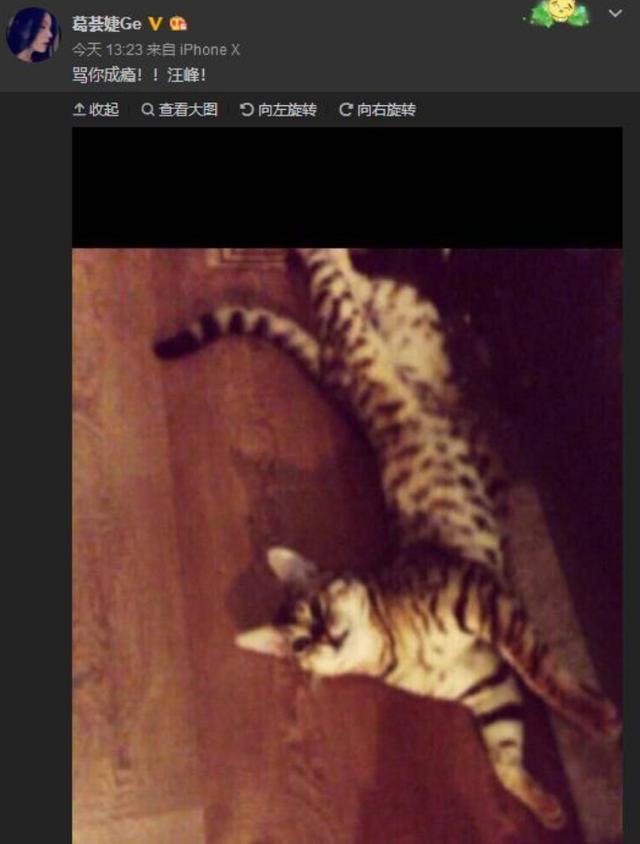 汪峰|葛荟婕不满小苹果玩视频社交软件，喊话汪峰：别让孩子看了！