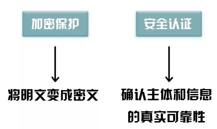 密码法|关于密码法，这些知识点你都应该掌握
