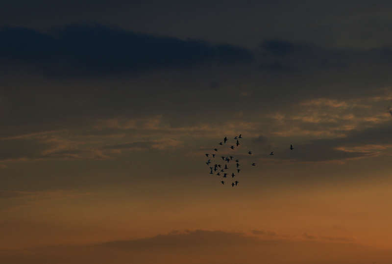 中青报·中青网|日落西山红霞飞