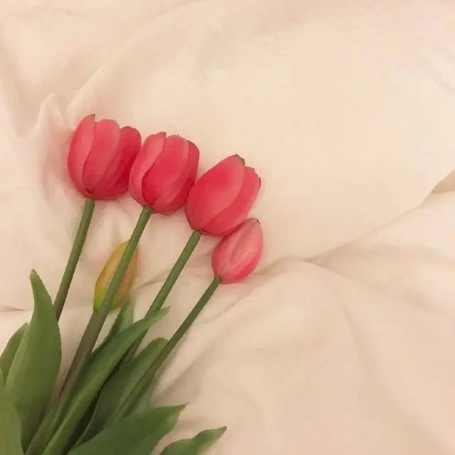 最火|2021妇女节最火的祝福语，祝所有女神节日快乐！