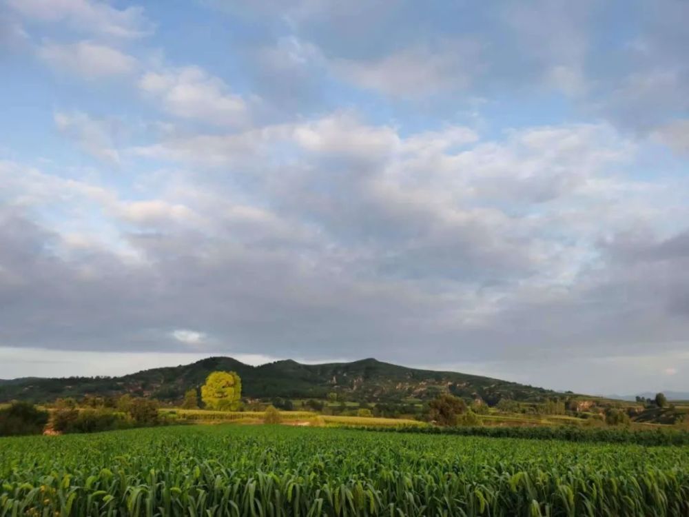 知识分子|耕读传家远，诗书济世长。中华耕读文化的价值区别有哪些？