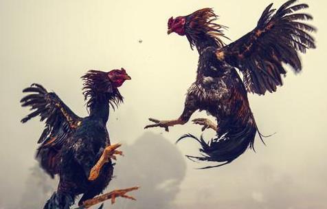 古诗词|骂人不带脏字的十句古诗词，很高级，如果要没点水平都听不出被骂！