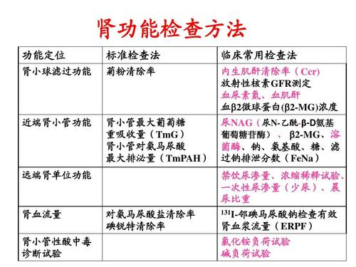 腎功能檢查的項目有哪些