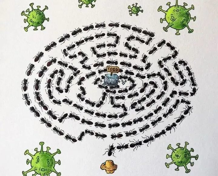 新冠病毒|印度画家用22幅插画，画出人们面对新冠病毒的表现，看完感动了