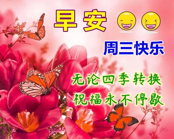 9月16日早上好日常祝福语大全 早晨好日常问候语录新版 太阳